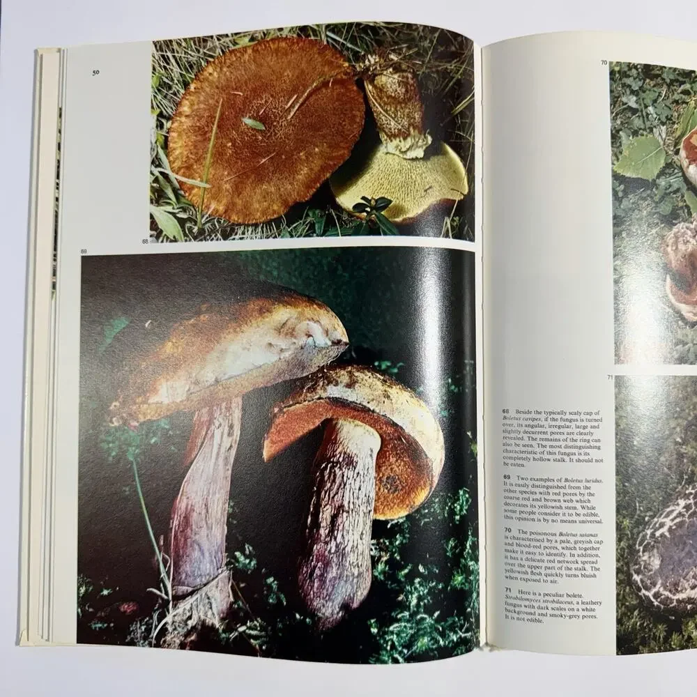 Color Treasury of Mushrooms and Toadstools How To Find And Identify Them 1972